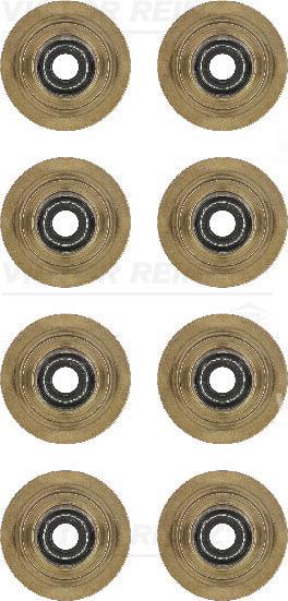 Pochette de Joints de queues de soupapes REINZ ref. 12-31056-01