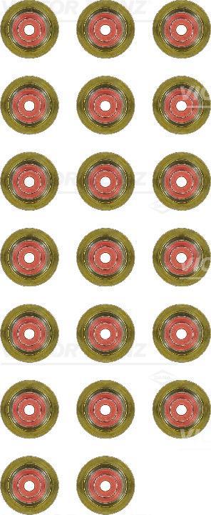 Pochette de Joints de queues de soupapes REINZ ref. 12-38209-01